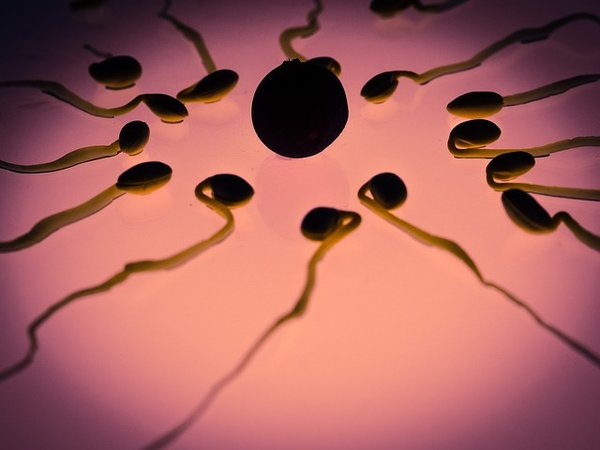 Quelles sont les causes de la douleur pendant l'ovulation et comment y remédier ?